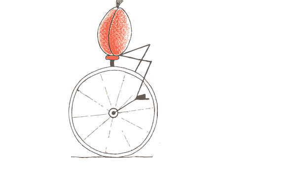 le cirque des abricots