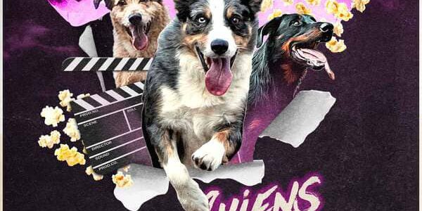 LES CHIENS FONT LEUR CINÉMA