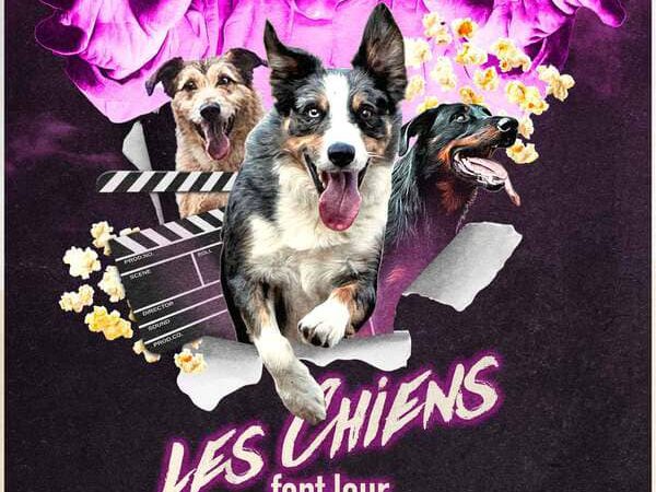 Les Chiens Font Leur Cinéma - DOG TRAINER