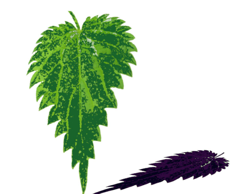 S'aimer dans les orties