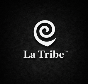 Logo La Tribe Performance spécialiste des spectacles feu & LED